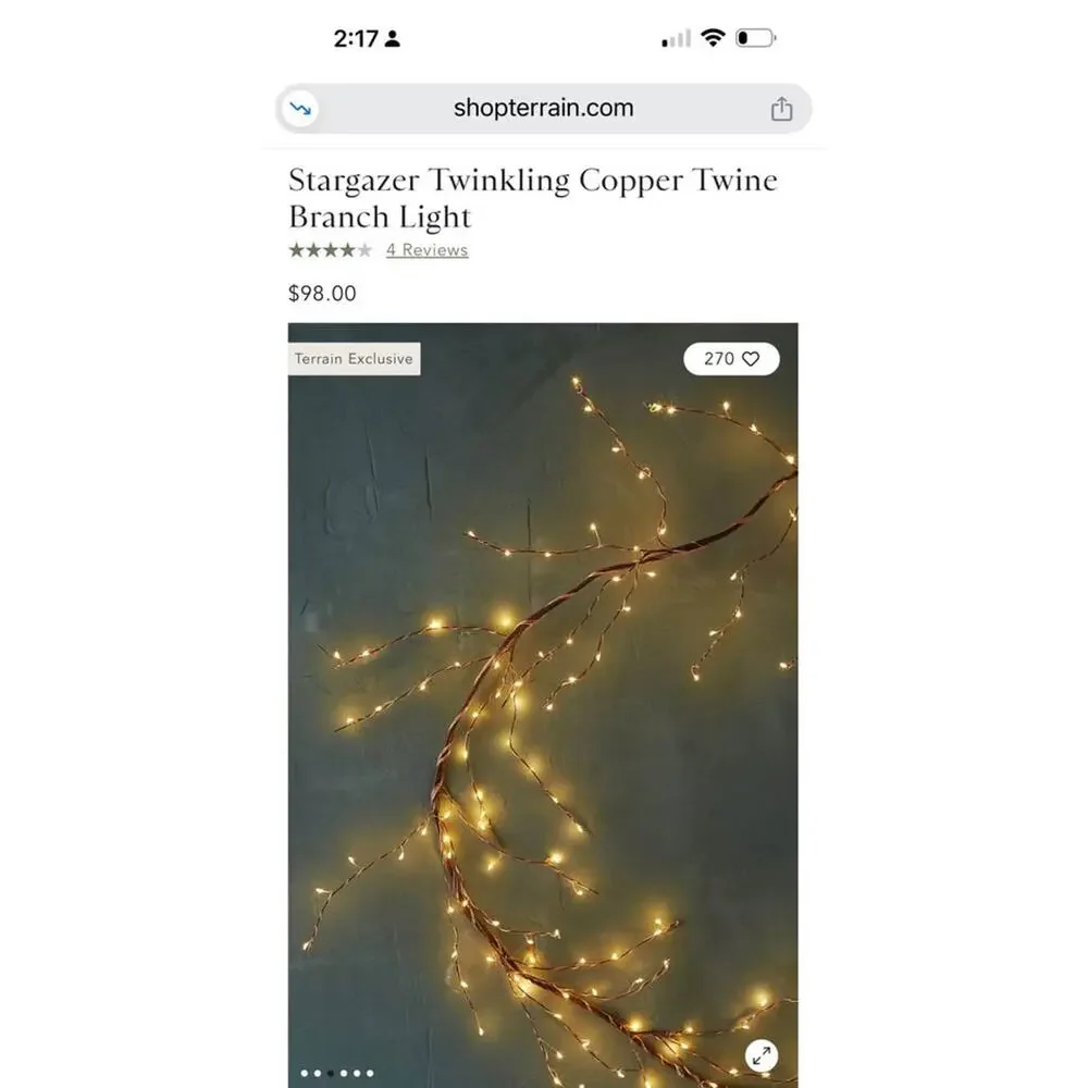TERRAIN 5' Stargazer Twinkling Copper Twine Branch Light